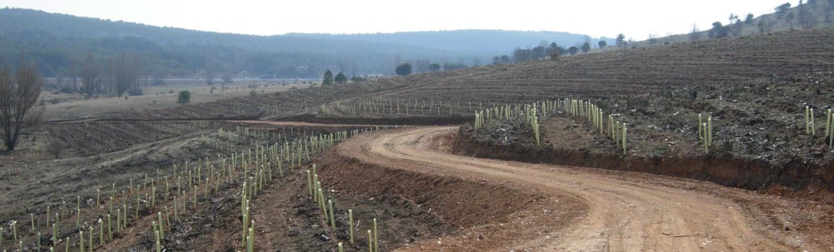 Recuperación ambiental y paisajística en Moral de Hornuez, Honrubia de