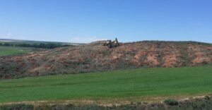 Repoblación en J.V. de Brullés (Villadiego, Burgos) en 2020. Cofinanciada FEADER.